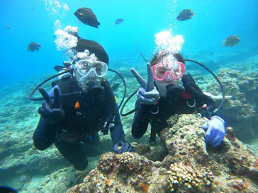 武藤潜水に投稿された画像（2022/10/1）