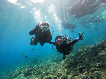武藤潜水に投稿された画像（2022/10/1）