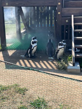 名古屋港水族館に投稿された画像（2022/10/1）