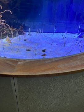 名古屋港水族館に投稿された画像（2022/10/1）