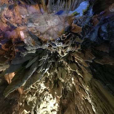 あぶくま洞に投稿された画像（2022/10/1）