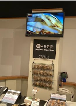 ミキモト真珠島に投稿された画像（2022/10/1）