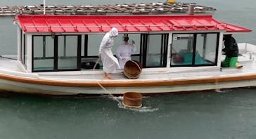 ミキモト真珠島に投稿された画像（2022/10/1）