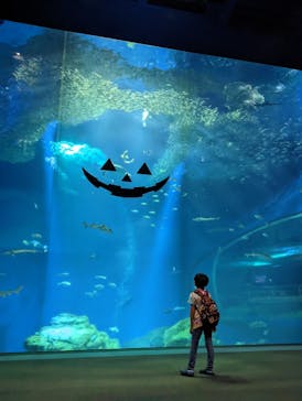 アクアワールド茨城県大洗水族館に投稿された画像（2022/10/1）