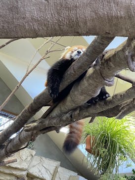 那須どうぶつ王国に投稿された画像（2022/10/1）