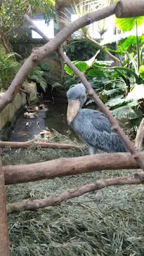 那須どうぶつ王国に投稿された画像（2022/10/1）