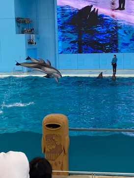 横浜・八景島シーパラダイスに投稿された画像（2022/10/1）