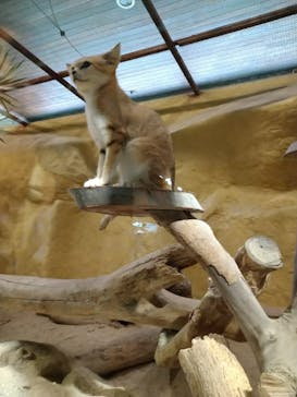 ネオパークオキナワに投稿された画像（2022/10/1）