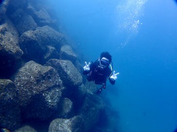 ブルーラボに投稿された画像（2022/10/1）