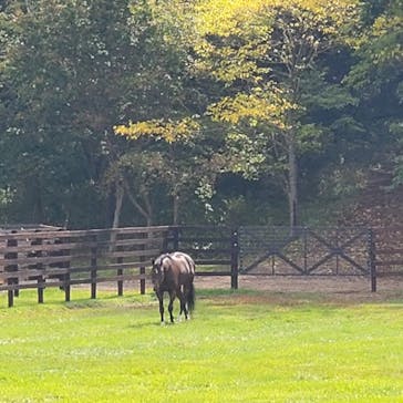 ノーザンホースパークに投稿された画像（2022/10/2）