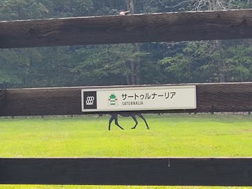 ノーザンホースパークに投稿された画像（2022/10/2）