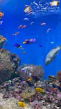 仙台うみの杜水族館に投稿された画像（2022/10/2）