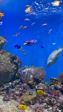 仙台うみの杜水族館に投稿された画像（2022/10/2）