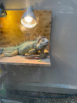 仙台うみの杜水族館に投稿された画像（2022/10/2）