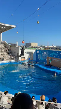仙台うみの杜水族館に投稿された画像（2022/10/2）