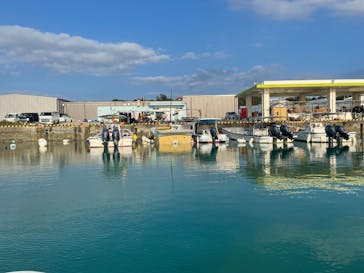 青の洞窟専門店　沖縄ダイビングショップ和に投稿された画像（2022/10/2）