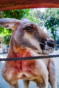 東武動物公園に投稿された画像（2022/10/2）