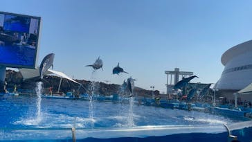 名古屋港水族館に投稿された画像（2022/10/2）