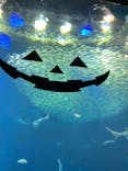 アクアワールド茨城県大洗水族館に投稿された画像（2022/10/2）