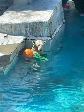 天王寺動物園に投稿された画像（2022/10/2）
