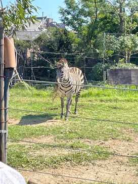 天王寺動物園に投稿された画像（2022/10/2）