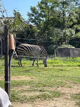 天王寺動物園に投稿された画像（2022/10/2）