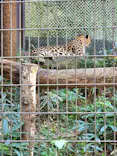 よこはま動物園ズーラシアに投稿された画像（2022/10/2）