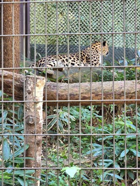 よこはま動物園ズーラシアに投稿された画像（2022/10/2）