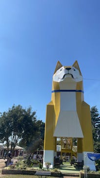 つくばわんわんランドに投稿された画像（2022/10/2）