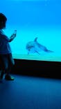 アクアワールド茨城県大洗水族館に投稿された画像（2022/10/2）