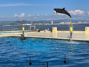 マリンワールド海の中道に投稿された画像（2022/10/2）