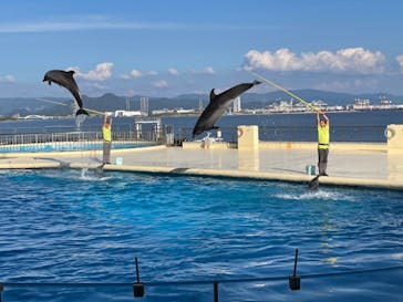 マリンワールド海の中道に投稿された画像（2022/10/2）