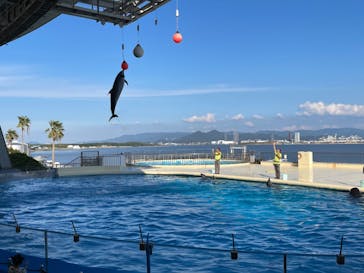 マリンワールド海の中道に投稿された画像（2022/10/2）