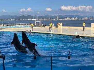 マリンワールド海の中道に投稿された画像（2022/10/2）