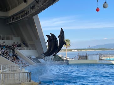 マリンワールド海の中道に投稿された画像（2022/10/2）