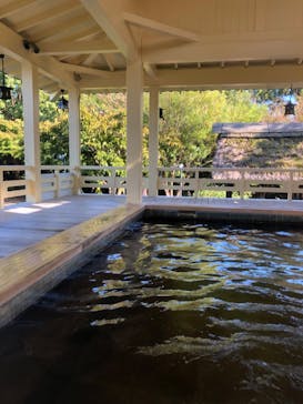 大江戸温泉物語 浦安万華郷に投稿された画像（2022/10/2）