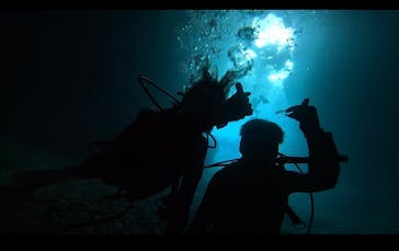 青の洞窟専門店　沖縄ダイビングショップ和に投稿された画像（2022/10/2）