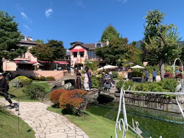 河口湖 音楽と森の美術館に投稿された画像（2022/10/2）