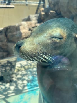 サンシャイン水族館に投稿された画像（2022/10/2）