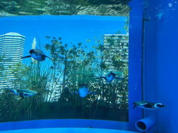 サンシャイン水族館に投稿された画像（2022/10/2）