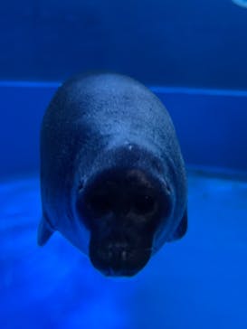 サンシャイン水族館に投稿された画像（2022/10/2）