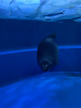 サンシャイン水族館に投稿された画像（2022/10/2）