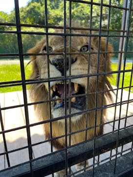 那須サファリパークに投稿された画像（2022/10/2）