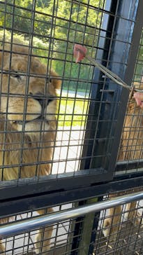 那須サファリパークに投稿された画像（2022/10/2）