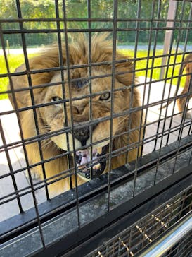 那須サファリパークに投稿された画像（2022/10/2）