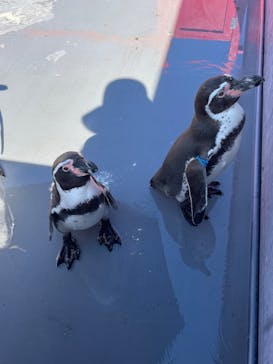 南知多ビーチランド＆南知多おもちゃ王国に投稿された画像（2022/10/2）