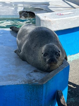 南知多ビーチランド＆南知多おもちゃ王国に投稿された画像（2022/10/2）