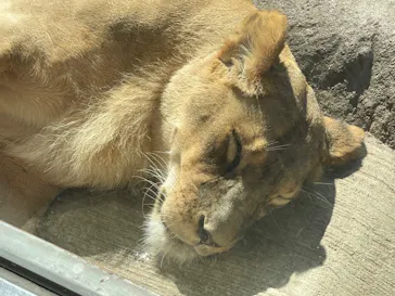 天王寺動物園に投稿された画像（2022/10/2）