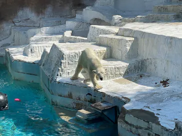 天王寺動物園に投稿された画像（2022/10/2）