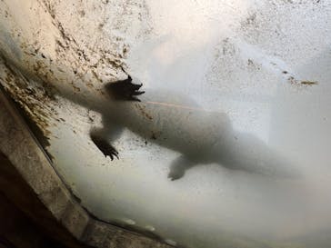 沖縄こどもの国に投稿された画像（2022/10/2）